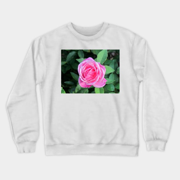 Pink Rose Crewneck Sweatshirt by Cynthia48